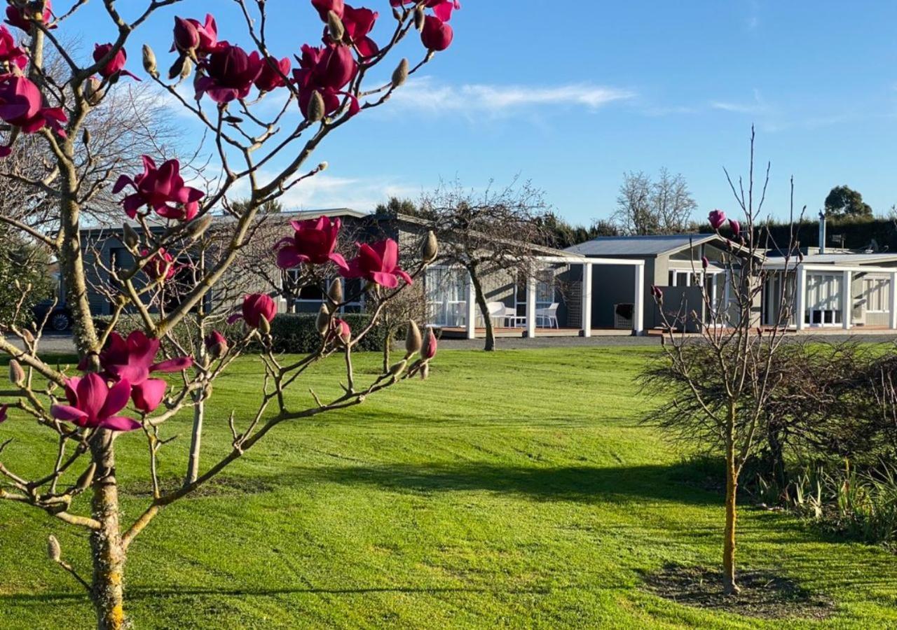 Amuri Villas Clive Zewnętrze zdjęcie